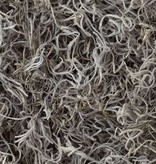 Galapagos Spanish Moss 150 Cubic In.