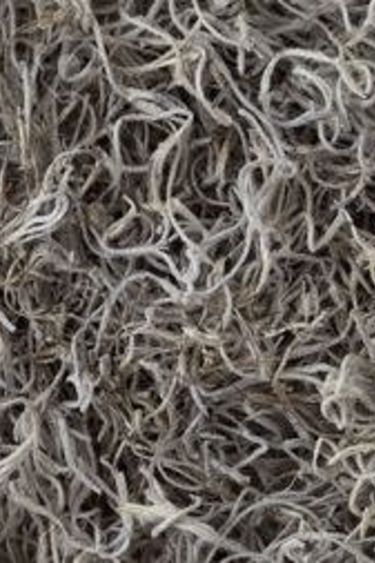 Galapagos GALAPAGOS GA-05160 Mousse naturelle espagnole 150 po cube