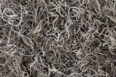 Galapagos GALAPAGOS GA-05160 Mousse naturelle espagnole 150 po cube