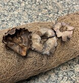 La Swamp LA SWAMP 4210 Pétales de coconuts 5