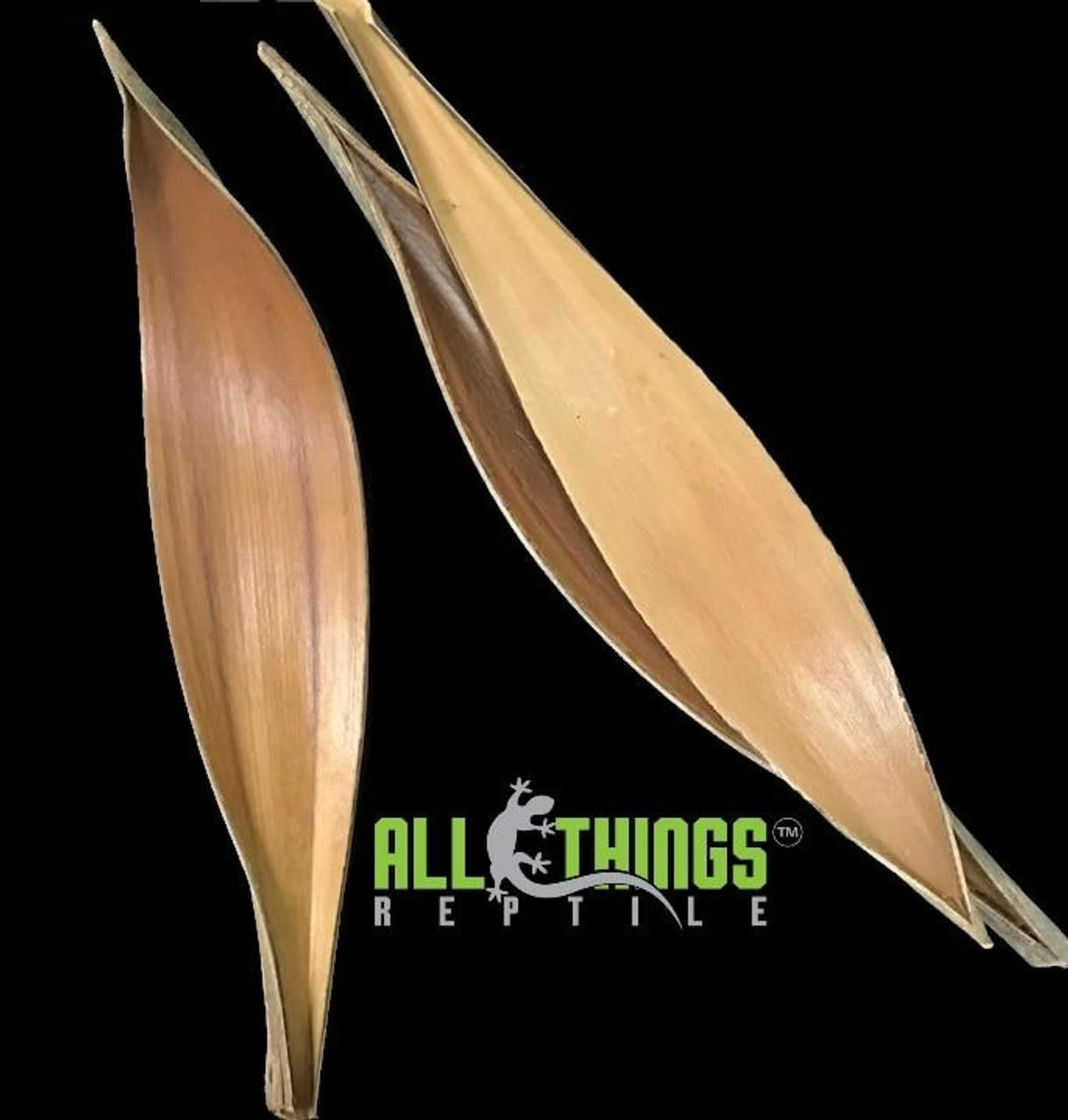 All things reptile  Coco Dish 16-21 '' (1 per pack)