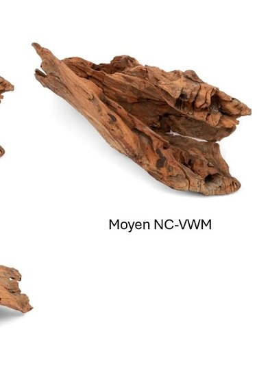 NewCal Pets NEWCAL Bois viking