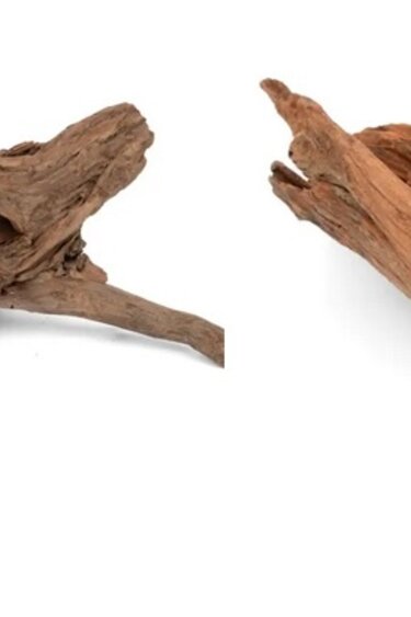 NewCal Pets NEWCAL Bois de dague