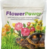 TheBio Dude Le supplément BioDude FlowerPower Herbivore/Omnivore (20g)