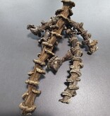 La Swamp LA SWAMP Tiges de banane - Banana Stems