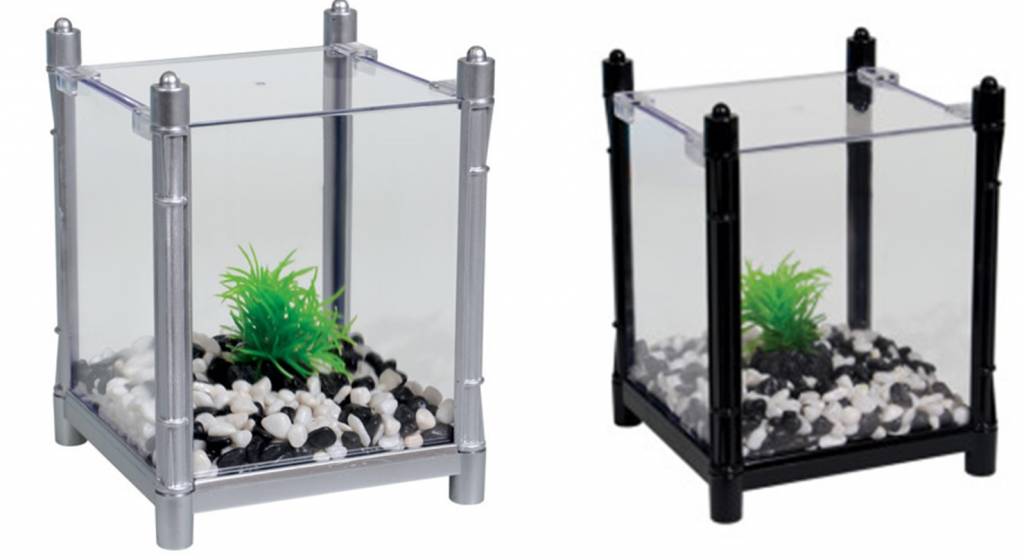 Aqua One Square aquarium for betta