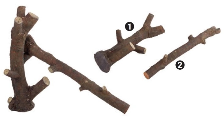 ReptiZoo REPTIZOO RZ-DR10 Branches modulaires emboîtables