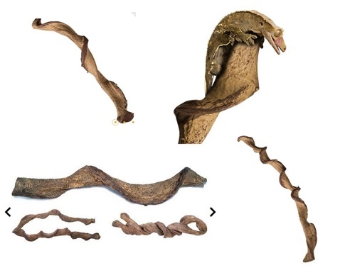 ReptiZoo REPTIZOO Liane artificielle de canne