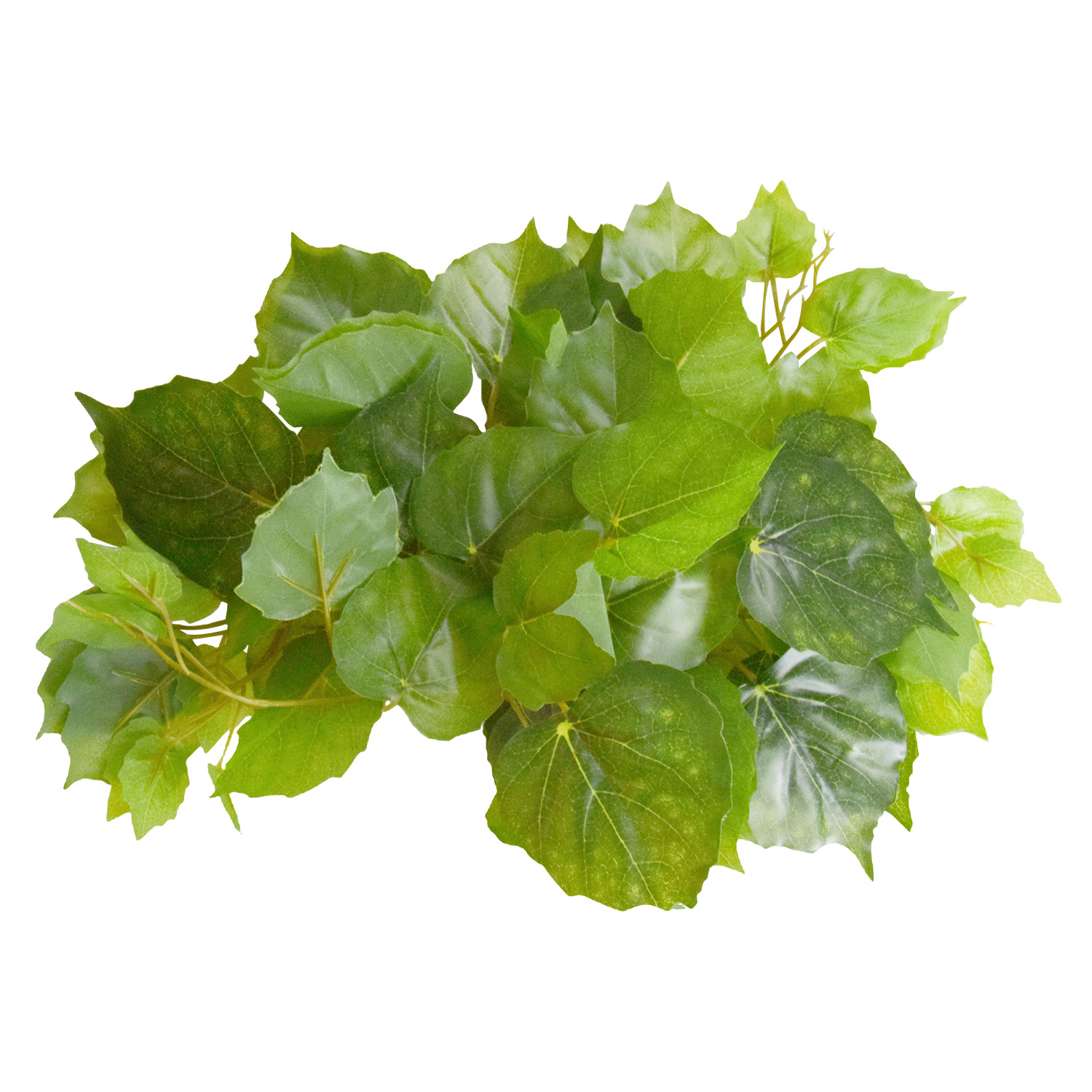 Reptiles treasures REPTILES TREASURES 77006 Plante Pothos - 60 po