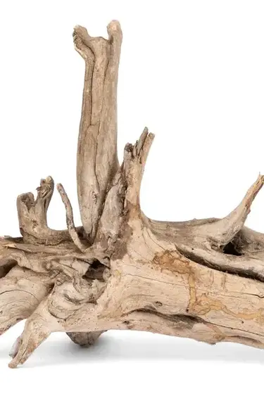 NewCal Pets NEWCAL Bois de foudre