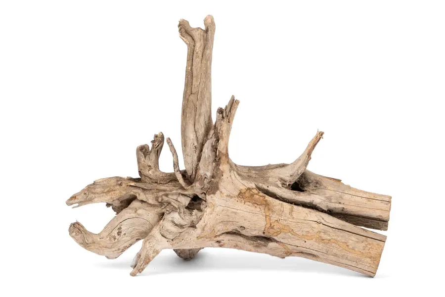 NewCal Pets NEWCAL Bois de foudre