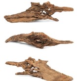 NewCal Pets NEWCAL Bois sauvage