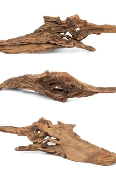 NewCal Pets NEWCAL Bois sauvage