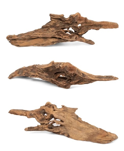 NewCal Pets NEWCAL Bois sauvage