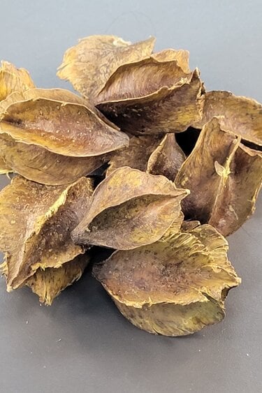 La Swamp Pods - Arjun pods (8x)