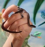 Magazoo Baby female African House Snake #2
