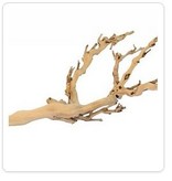 Exoterra EXO TERRA Branche d’arbre