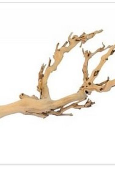 Exoterra EXO TERRA Branche d’arbre