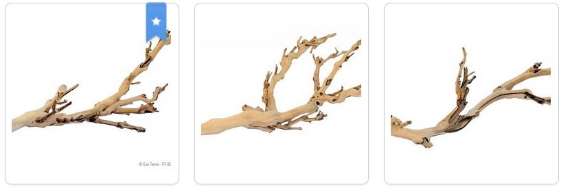 Exoterra EXO TERRA Branche d’arbre