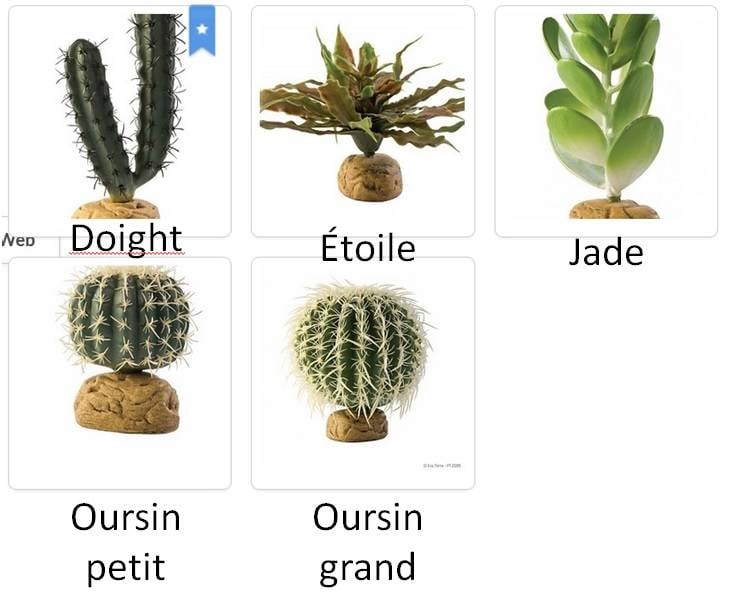 Exoterra Desert Ground Plants