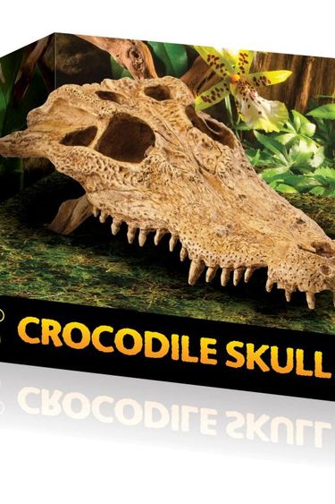 Exoterra Cachette en forme de crâne de crocodile - Crocodile skull hide