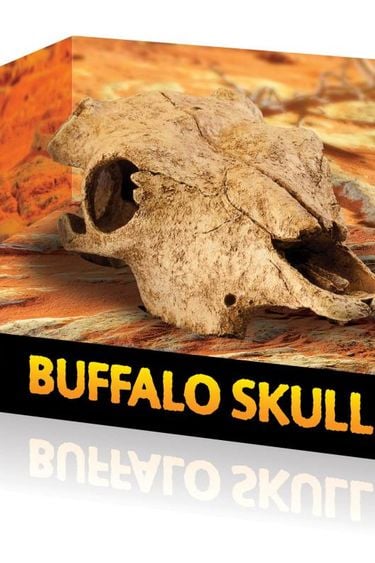 Exoterra Buffalo skull hideout