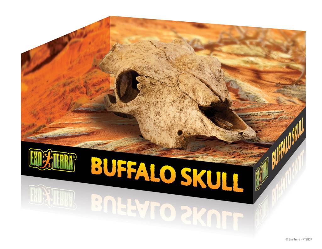 Exoterra Cachette en forme de crâne de bison - Bison skull cave