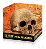 Exoterra Cachette en forme de crâne de primate - Primate skull hide