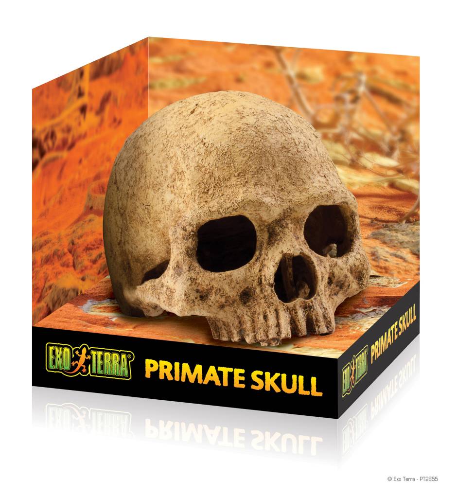 Exoterra Cachette en forme de crâne de primate - Primate skull hide