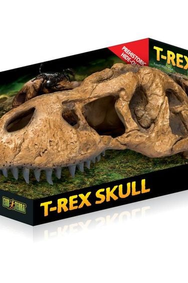 Exoterra Cachette en forme de crâne de tyrannosaure - T-Rex skull hide