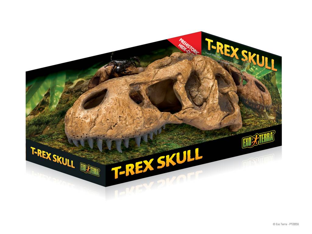 Exoterra Tyrannosaurus Skull Hideout