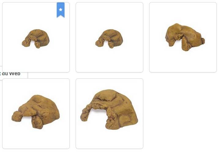 Exoterra EXO TERRA Cave pour reptile