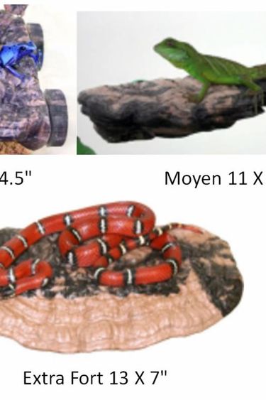 Pet-Tekk PET-TEKK Champignon suspendu