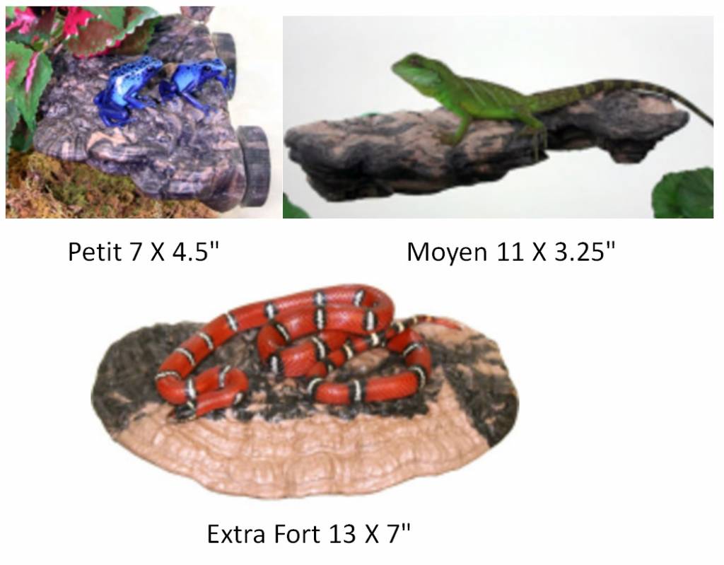 Pet-Tekk PET-TEKK Champignon suspendu