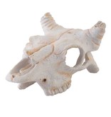 Exoterra EXO TERRA PT2925 Crâne de bison