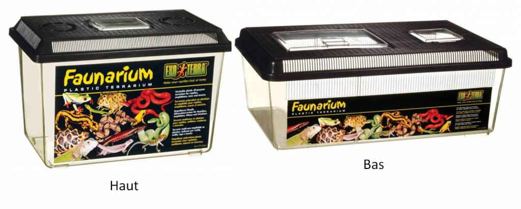 Exoterra EXO TERRA Faunarium