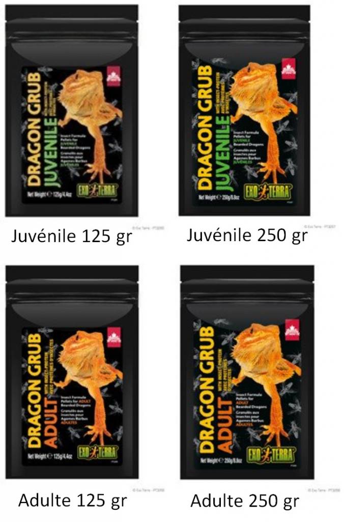 Exoterra Dragon granules "Grub" based on insects for bearded agamas