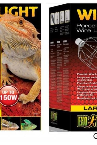 Lampe a pince avec gradateur 8.5  max. 150 watts - Magazoo, l'Univers des  Reptiles