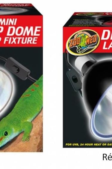 Zoomed Deep Dome Lamp Fixture