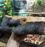 Komodo KOMODO KD-93331 Bol en coin en bois polyrésine X-Large 11x11x2.5 po