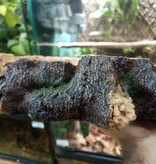 Komodo KOMODO KD-93331 Bol en coin en bois polyrésine X-Large 11x11x2.5 po