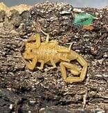 Magazoo Scorpion Bark d'Arizona /Centruroides sculpturatus