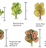 Aqua Globe AQUAGLOBE Plante en soie calathe