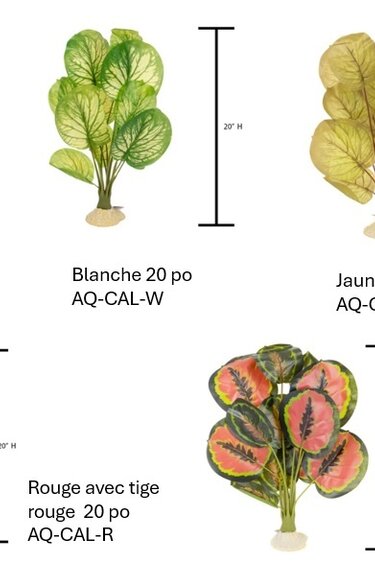 Aqua Globe AQUAGLOBE Plante en soie calathe