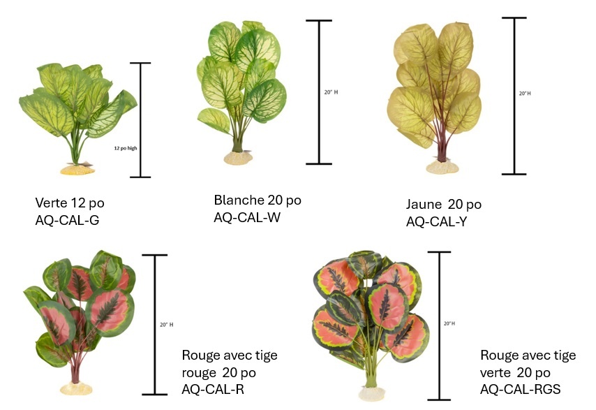 Aqua Globe AQUAGLOBE Plante en soie calathe
