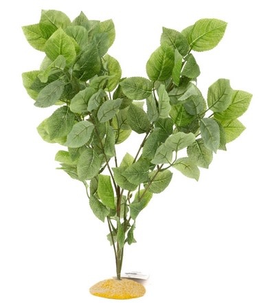 Aqua Globe AQUAGLOBE AQ-RS Plante de soir rose 20 po