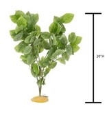 Aqua Globe AQUAGLOBE AQ-RS Plante de soir rose 20 po