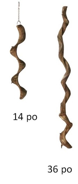 Prevue Hendryx Vertical branch