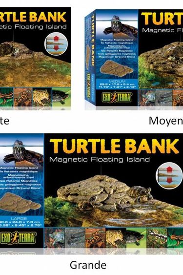 Exoterra EXO TERRA Talus pour tortue