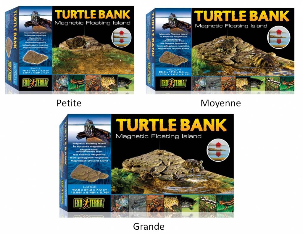 Exoterra Talus pour tortue – Turtle bank